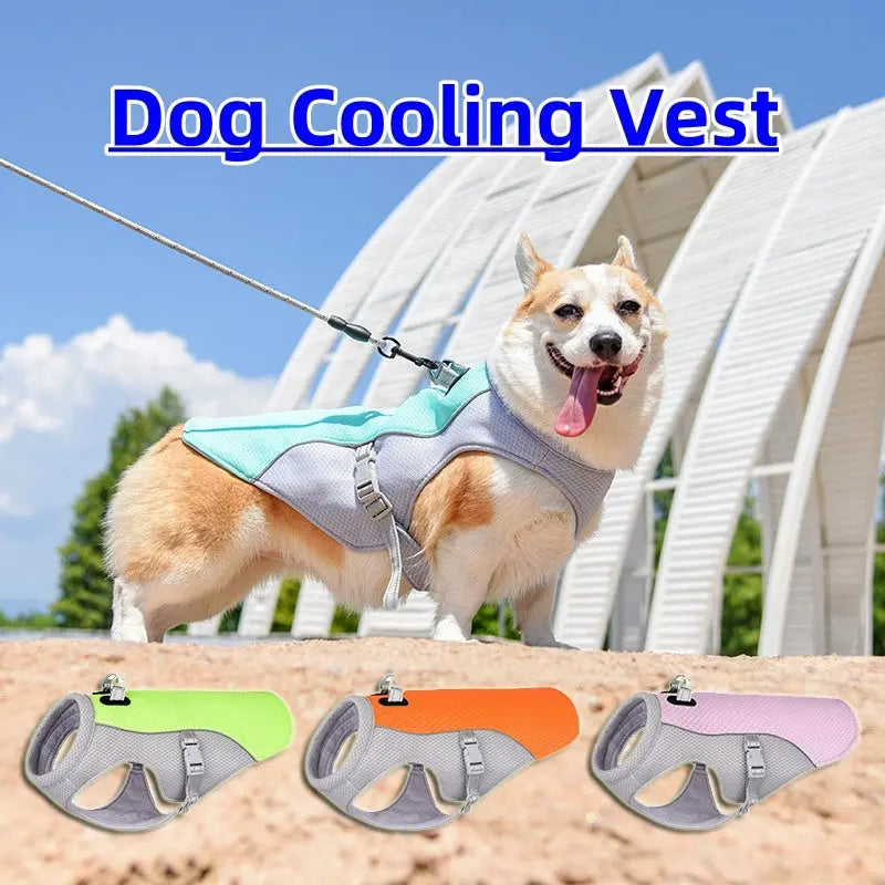 Cooling Dog Vest – Breathable & Sun-Proof for Hot Summer Walks - The Pawsome Life