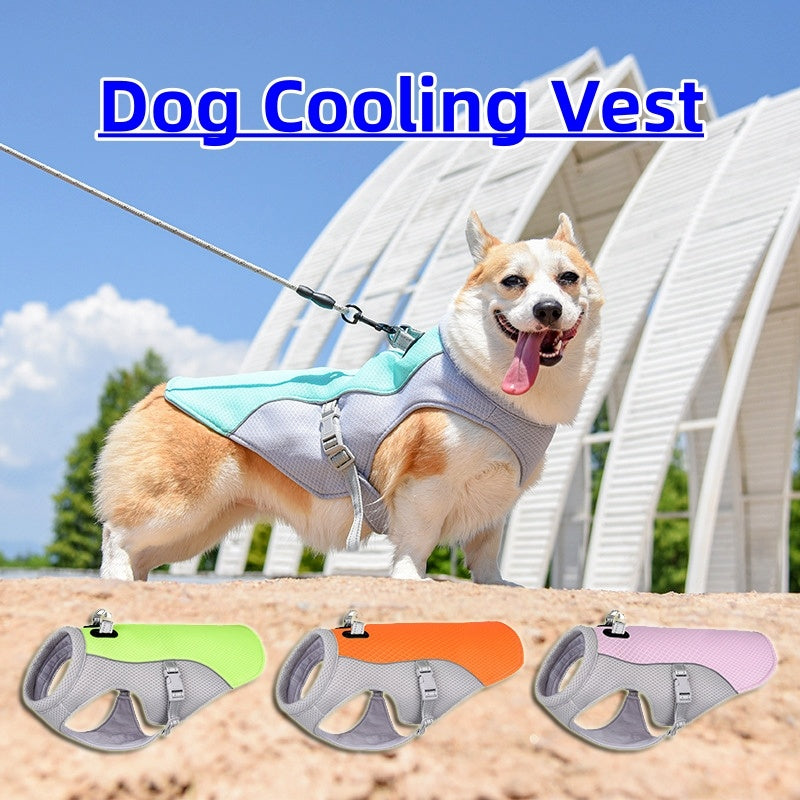 Cooling Dog Vest – Breathable & Sun-Proof for Hot Summer Walks - The Pawsome Life