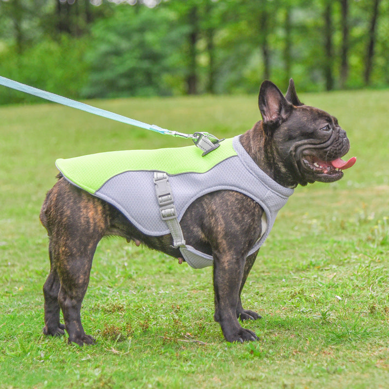 Cooling Dog Vest – Breathable & Sun-Proof for Hot Summer Walks - The Pawsome Life